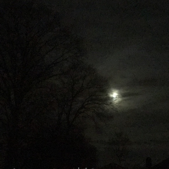 Meet your Posher, Jay - Picture 1 of 1